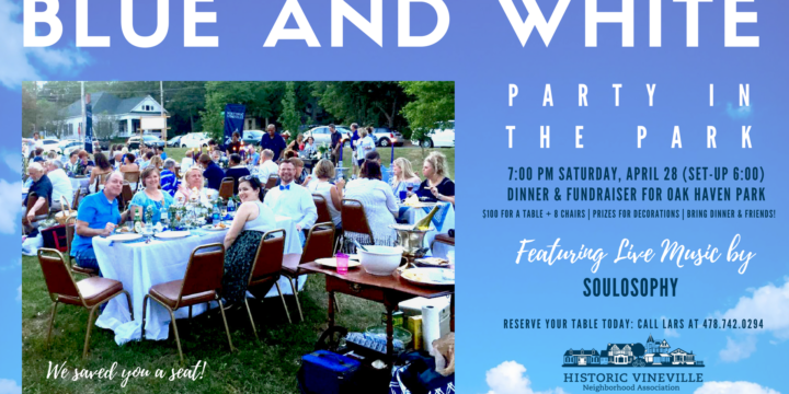 Blue & White Party in the Park