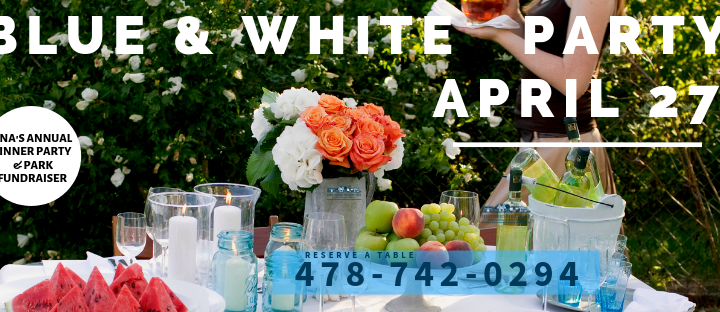 Blue & White Party in the Park